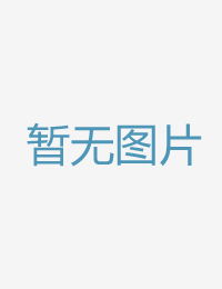 年夜会冬季勾当满韩国风月电影